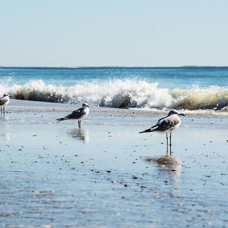 Direct Gulf Views With Deeded Beach Access Gulf Shores Zewnętrze zdjęcie